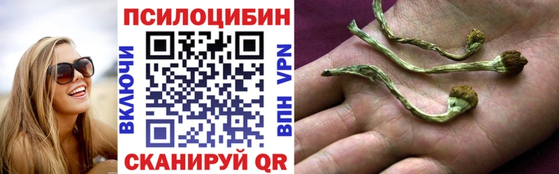 Псилоцибиновые грибы Psilocybine cubensis  Старая Русса 