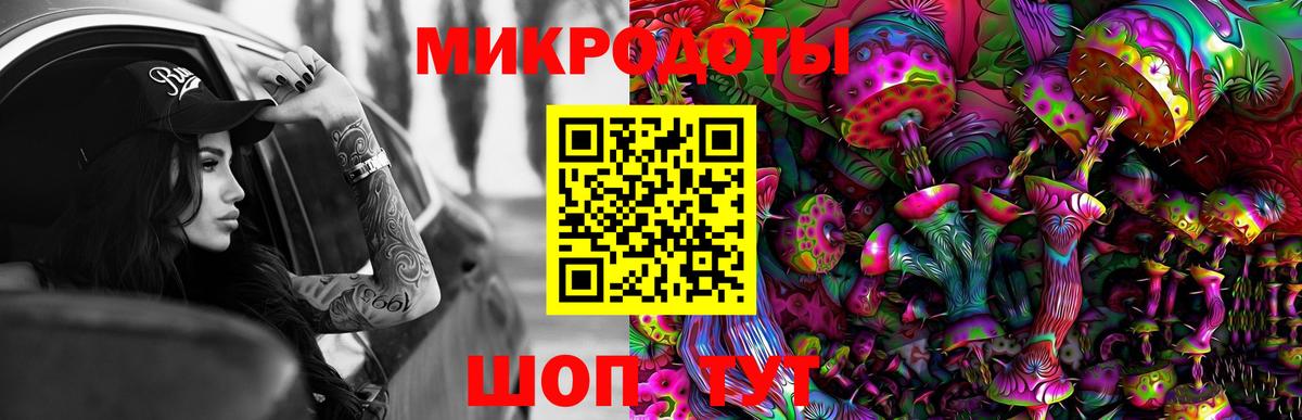 Галлюциногенные грибы мицелий  купить наркотик  Старая Русса 