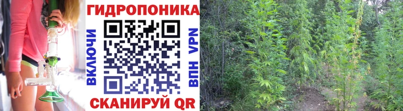 ОМГ ОМГ вход Старая Русса Бошки марихуана AK-47