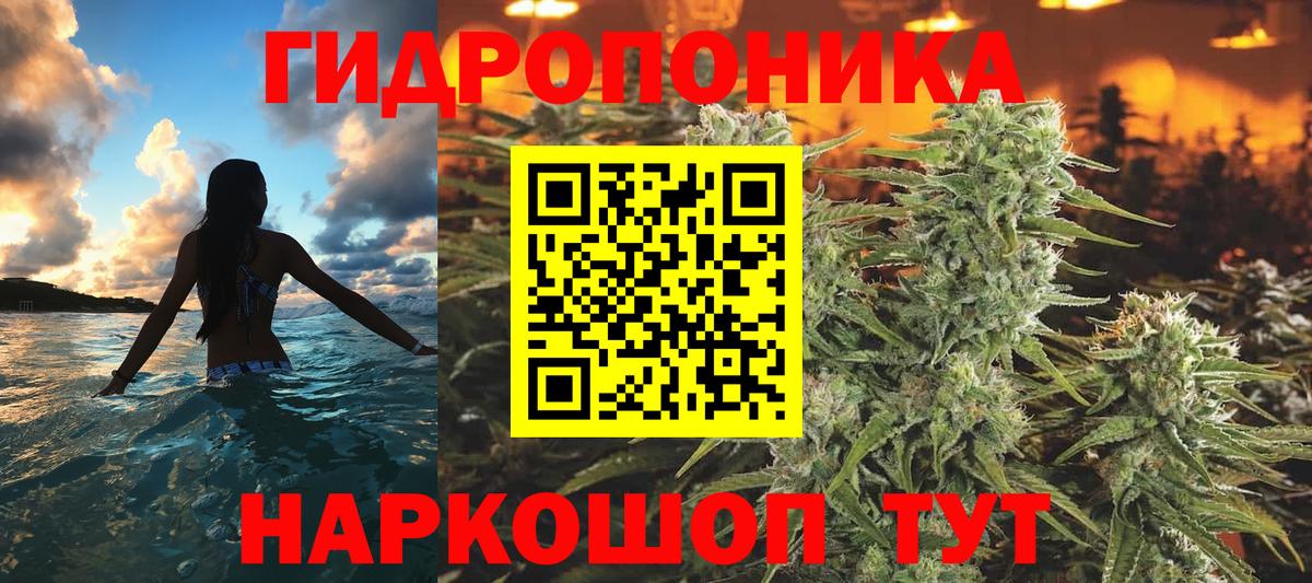 Марихуана индика  Вход с VPN  Старая Русса  Шишки марихуана THC 21% 